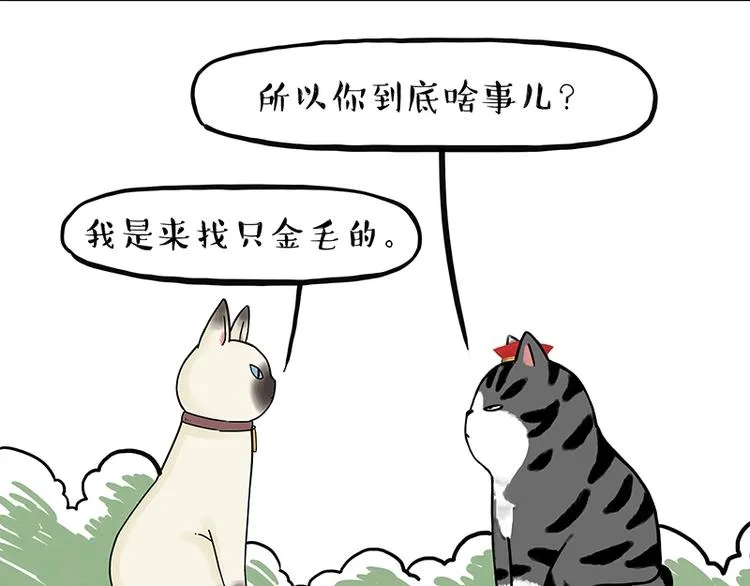 第171话 不许你走！ 第21页