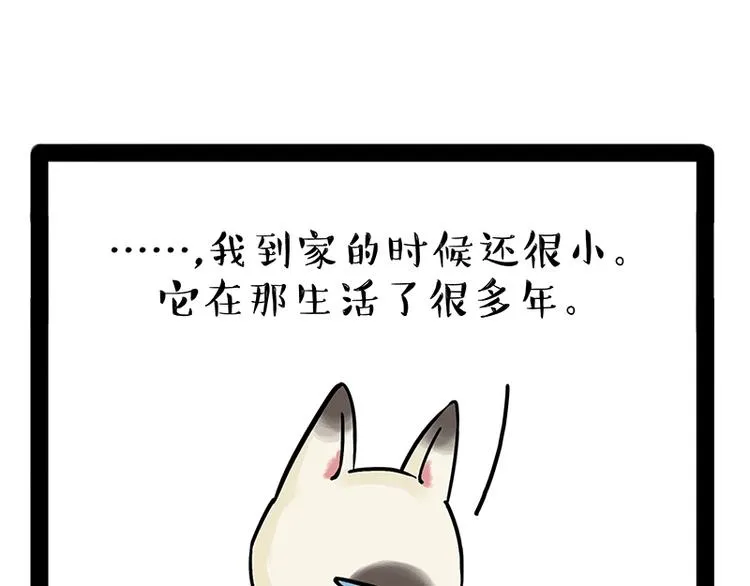 第171话 不许你走！ 第43页