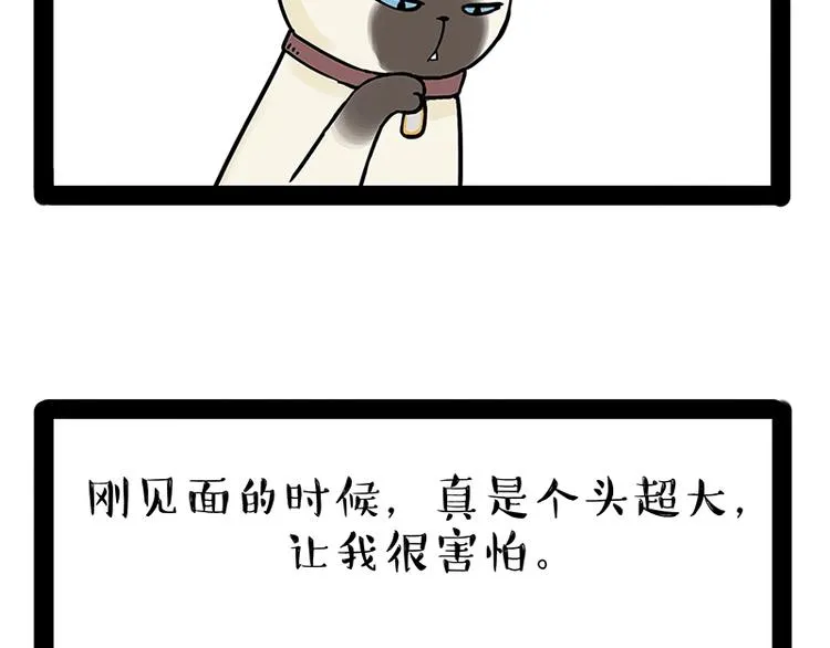 第171话 不许你走！ 第44页