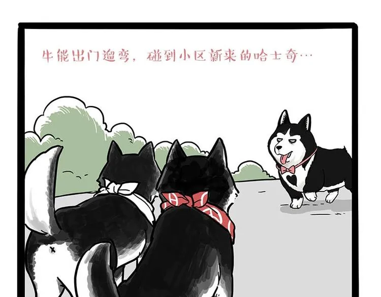 第175话 狗中王者 第1页