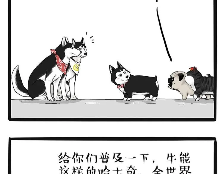 第175话 狗中王者 第23页