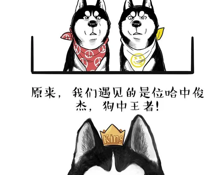 第175话 狗中王者 第37页