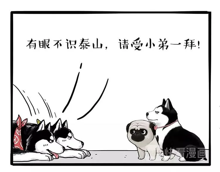 第175话 狗中王者 第40页