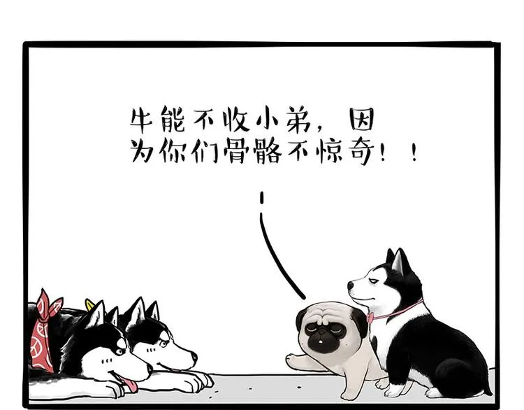 第175话 狗中王者 第41页