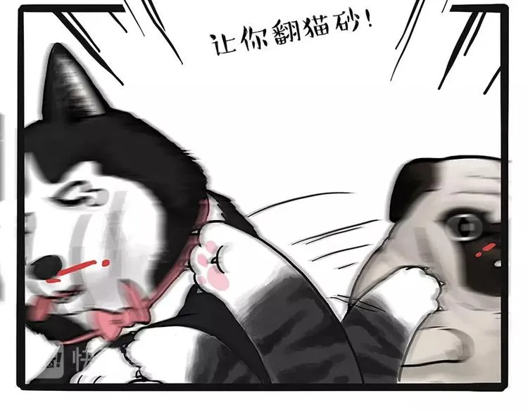 第175话 狗中王者 第55页