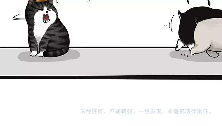 第175话 狗中王者 第61页