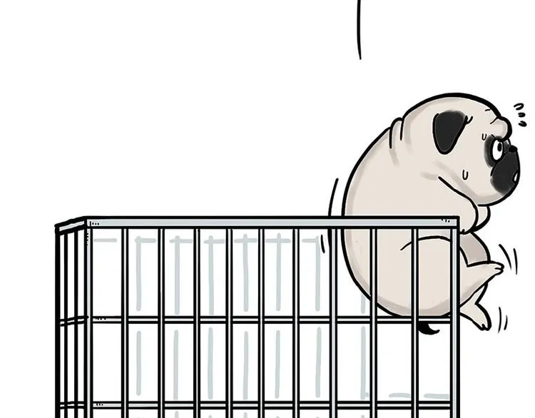 第176话 不要打扰我追求自由 第5页