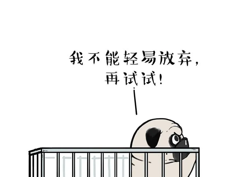 第176话 不要打扰我追求自由 第11页