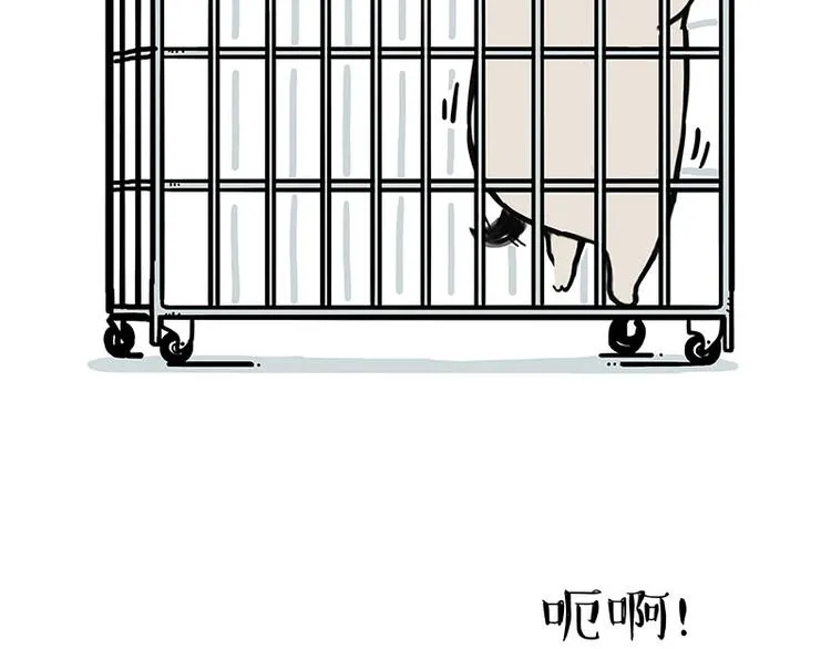 第176话 不要打扰我追求自由 第12页