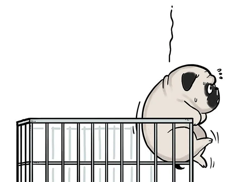 第176话 不要打扰我追求自由 第13页