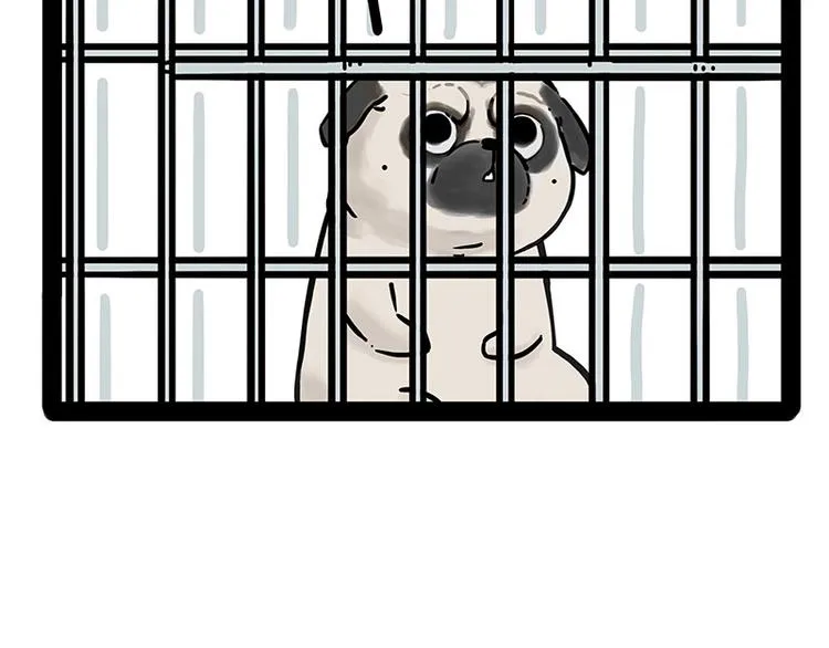 第176话 不要打扰我追求自由 第42页