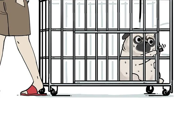 第176话 不要打扰我追求自由 第57页