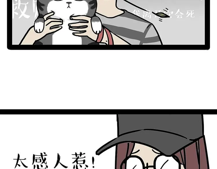 第178话 都给女装大佬让个座 第17页