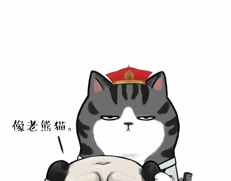 第182话 巴扎黑换了个头…型 第15页