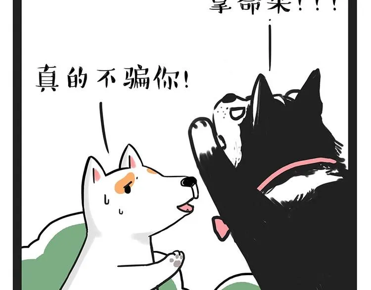 第184话 牛能的烦恼 第41页