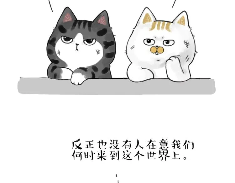 第185话 好兄弟！ 第4页