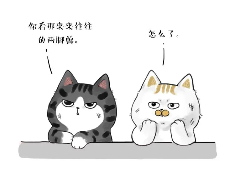 第185话 好兄弟！ 第19页