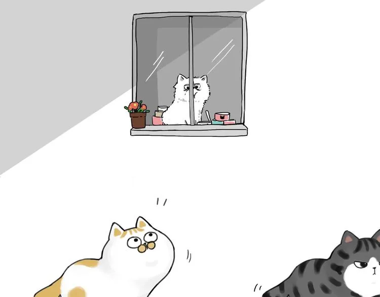 第185话 好兄弟！ 第35页