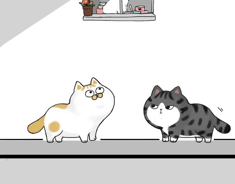 第185话 好兄弟！ 第37页
