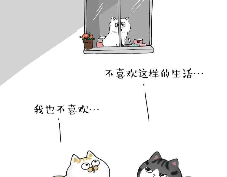 第185话 好兄弟！ 第40页