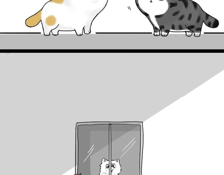 第185话 好兄弟！ 第41页