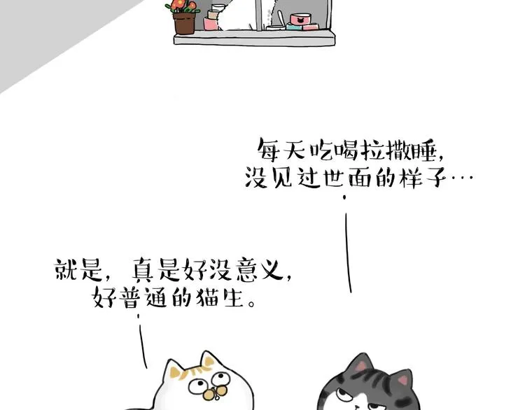 第185话 好兄弟！ 第42页