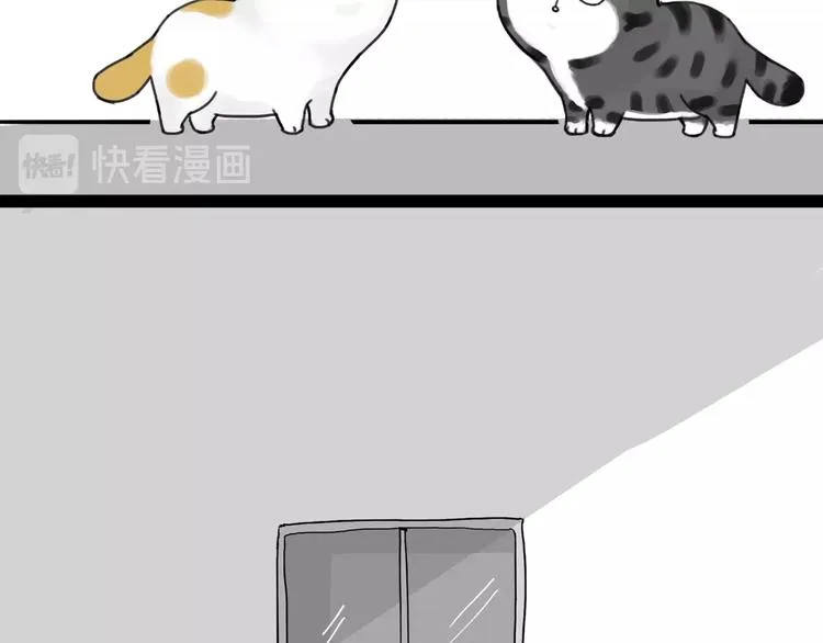 第185话 好兄弟！ 第43页