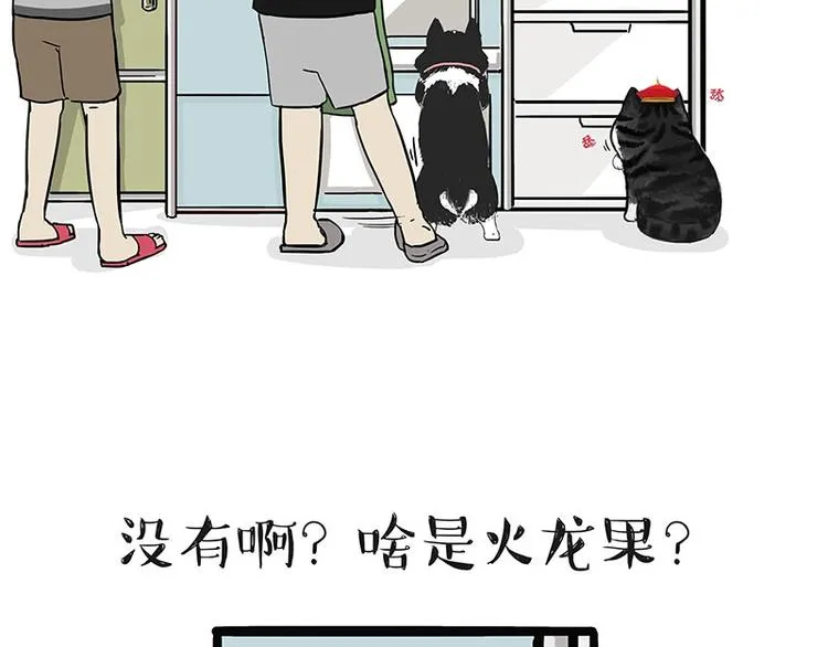 第187话 巴扎黑终究是错付了 第5页