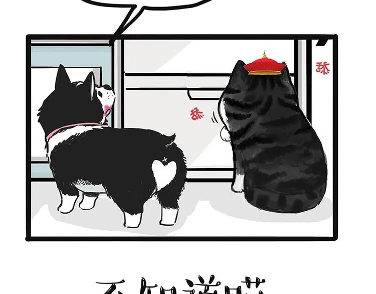 第187话 巴扎黑终究是错付了 第8页