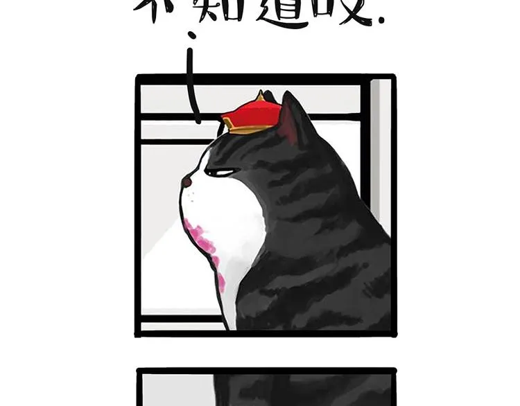 第187话 巴扎黑终究是错付了 第9页