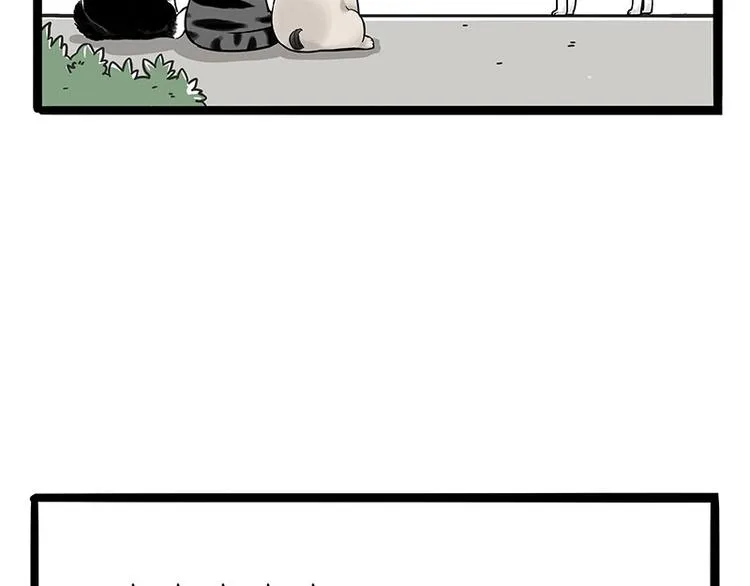 第187话 巴扎黑终究是错付了 第38页