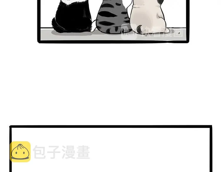第187话 巴扎黑终究是错付了 第41页