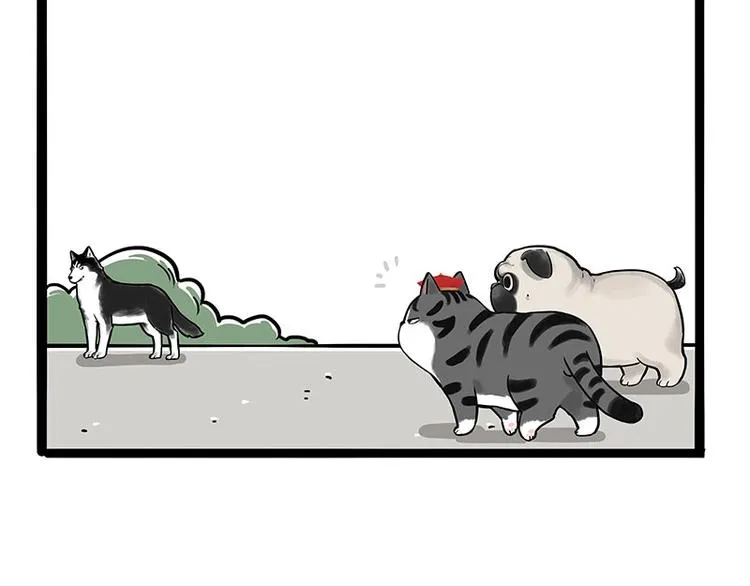 第187话 巴扎黑终究是错付了 第49页