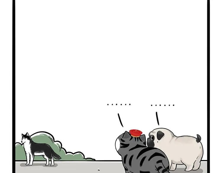 第187话 巴扎黑终究是错付了 第55页