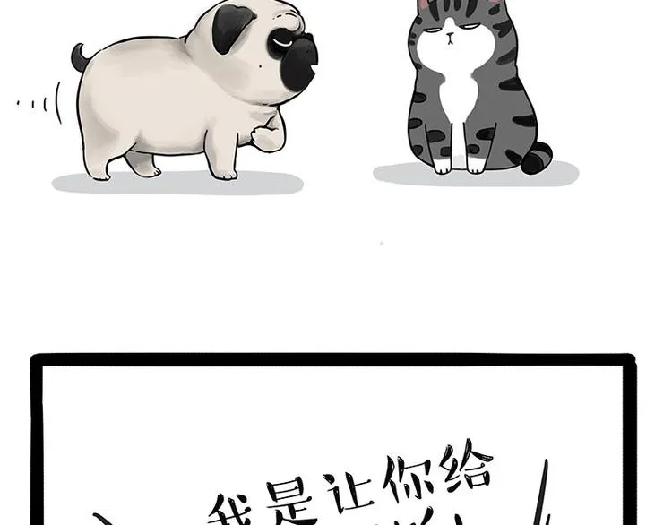 第186话 剁一只手算什么好汉 第13页