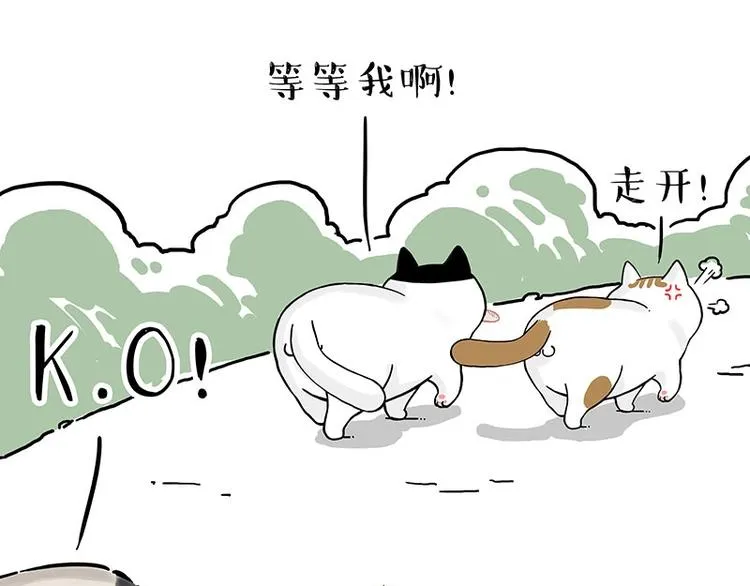 第189话 就你胖，还能浪 第40页