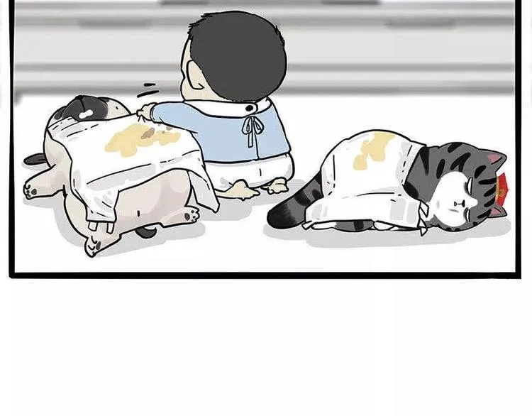 第191话 猫猫无证看孩子？！ 第66页