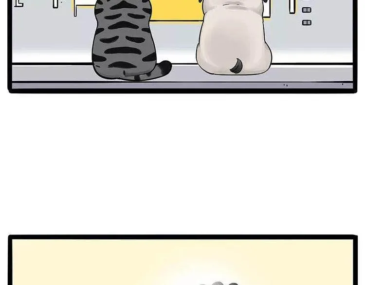 第191话 猫猫无证看孩子？！ 第78页