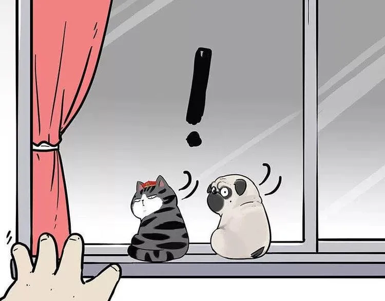 第191话 猫猫无证看孩子？！ 第81页