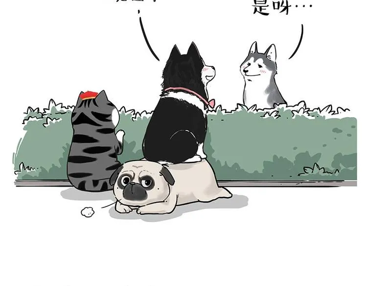 第192话 大型爱情翻车现场 第39页