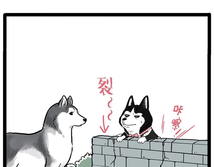 第192话 大型爱情翻车现场 第55页