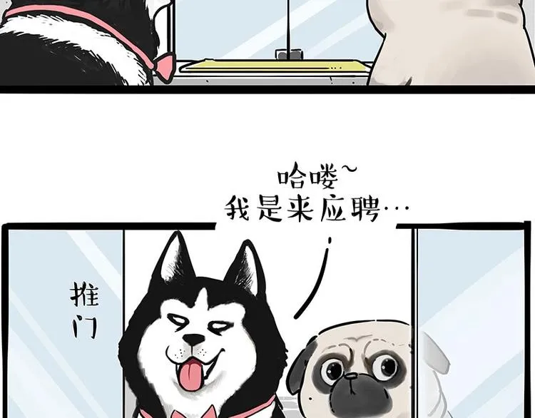 第194话 生活不易，猫狗打工 第5页