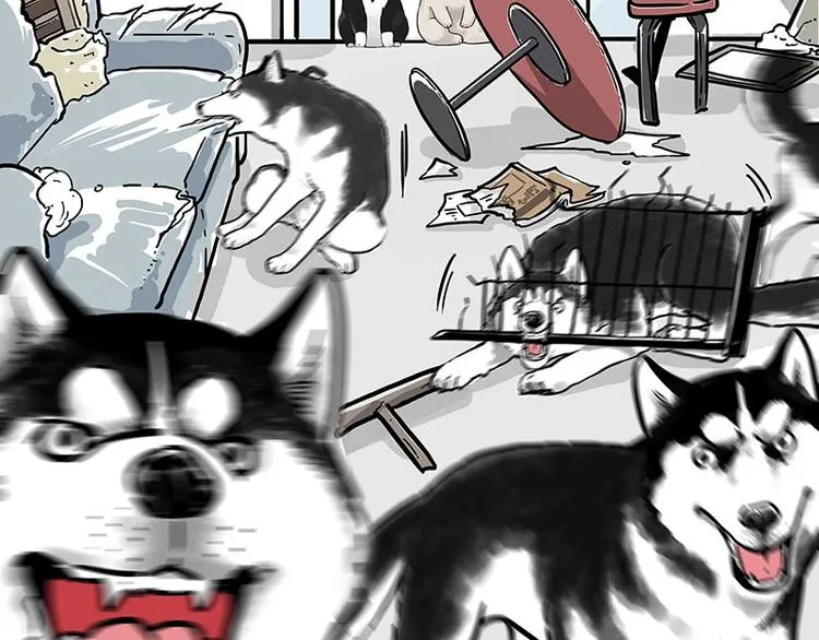 第194话 生活不易，猫狗打工 第7页
