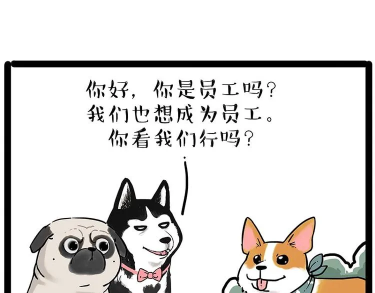 第194话 生活不易，猫狗打工 第14页
