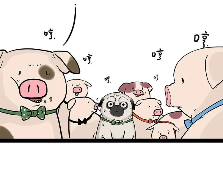 第194话 生活不易，猫狗打工 第19页
