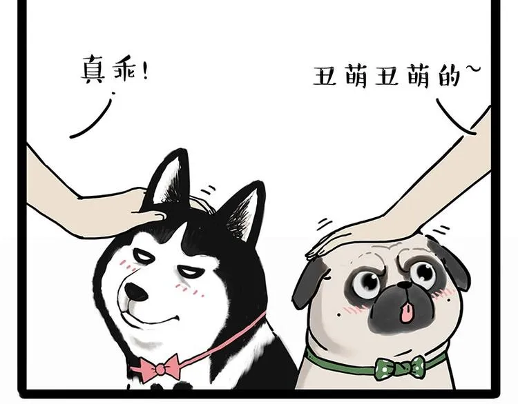 第194话 生活不易，猫狗打工 第22页