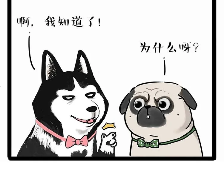 第194话 生活不易，猫狗打工 第26页