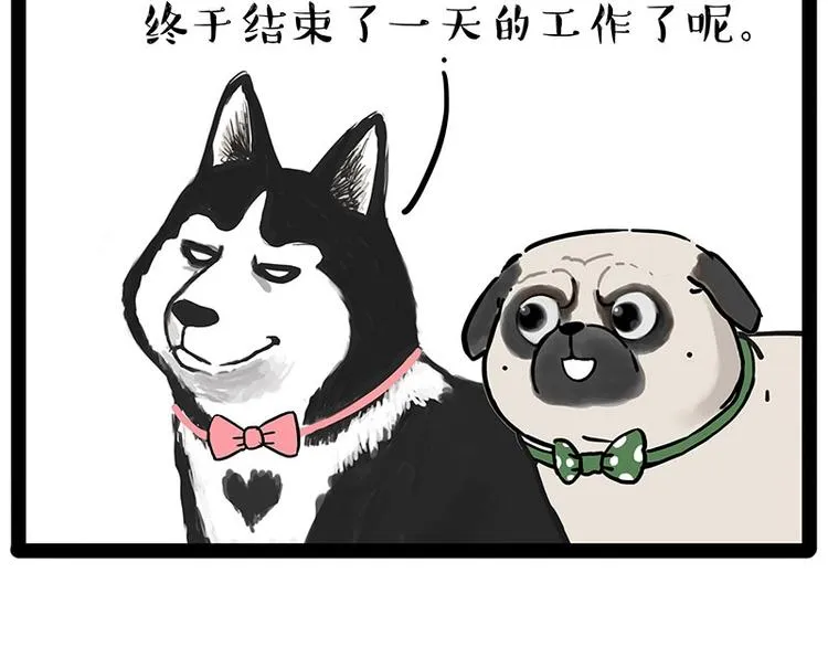 第194话 生活不易，猫狗打工 第43页