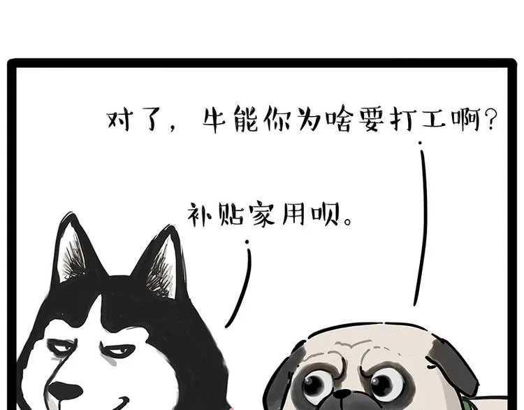 第194话 生活不易，猫狗打工 第44页