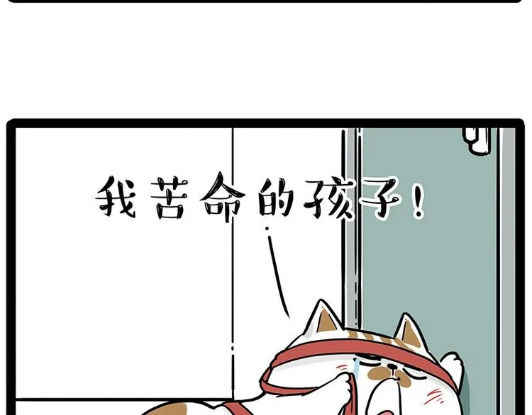 第195话 人类，尝尝我的父爱 第39页
